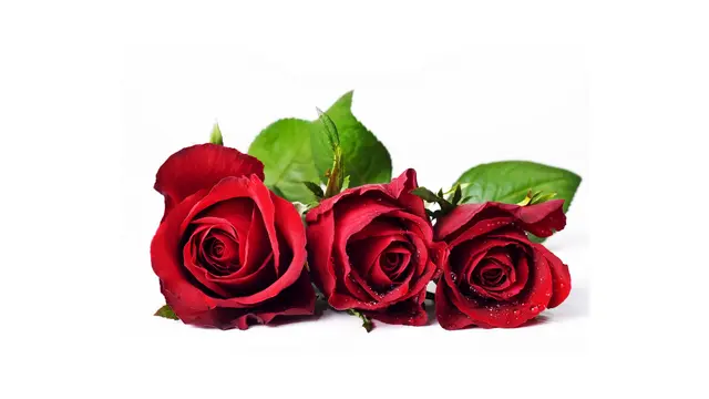 Ram de roses vermelles (imatge demostrativa)